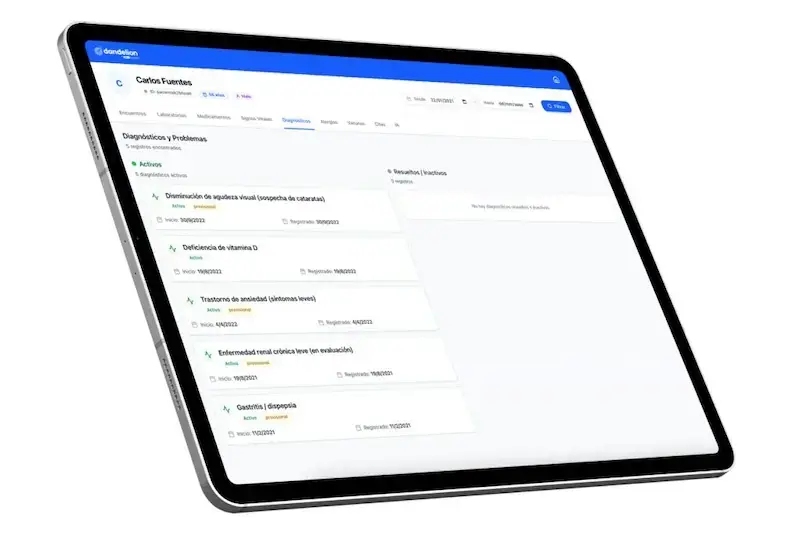 Visor Dandelion: diagnósticos y problemas activos del paciente